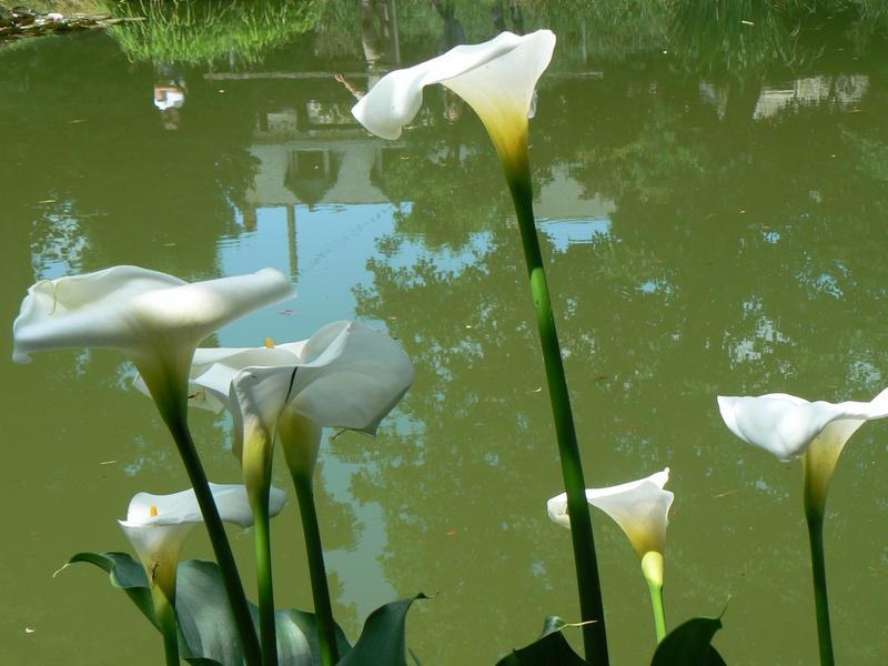 Willa Fermette Dans Les Pays De La Loire Izé Zewnętrze zdjęcie